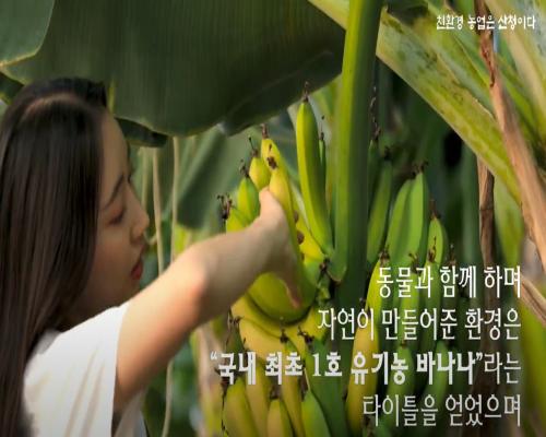 광복 80주년 태극기 달기 홍보 영상 이미지