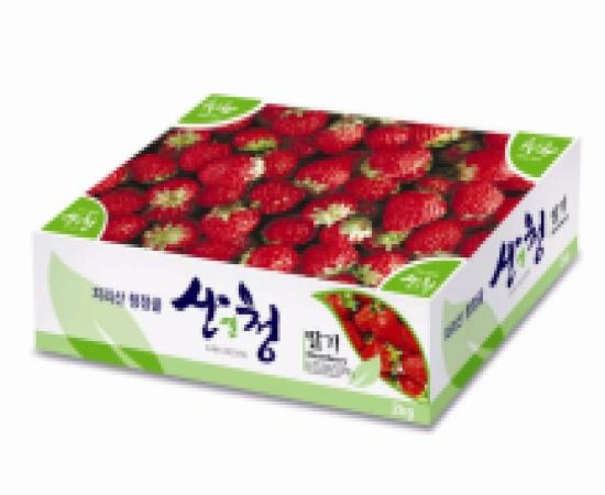 산청딸기 이미지